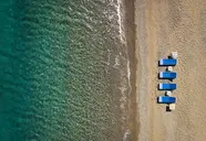 Anassa