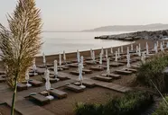 Anassa