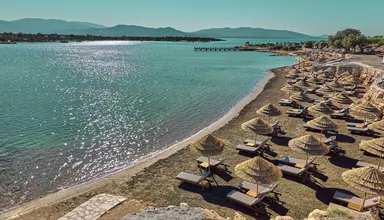 Anda Barut Collection
