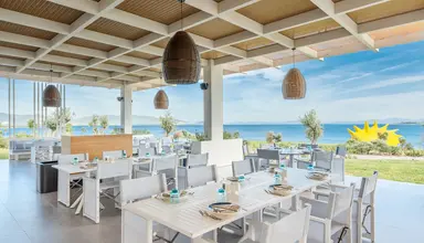 Anda Barut Collection