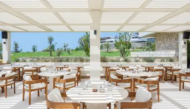 Anda Barut Collection