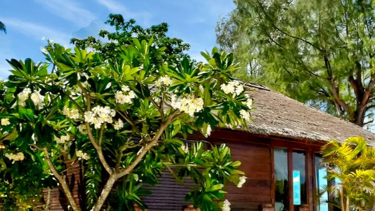 Anda Resort Lipe