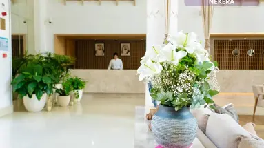 Andalus Al Seef Resort & Spa