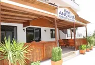 Andavis