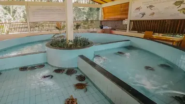 Andaz Bali