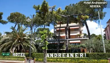 Andreaneri