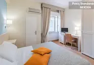 Andreaneri