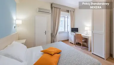 Andreaneri