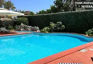 Andreaneri