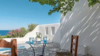 Anema
