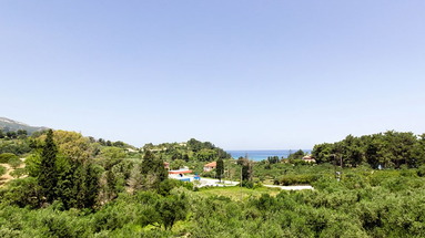 Anemomilos Studios