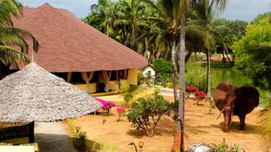Angel's Bay Resort