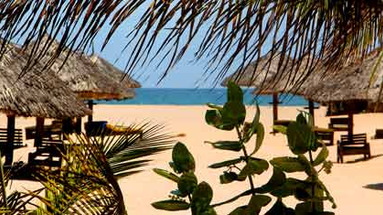 Angel's Bay Resort