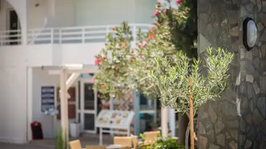 Anika Studios