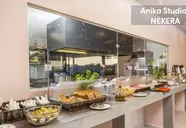 Anika Studios