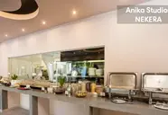 Anika Studios