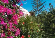 Anissa Beach & Village