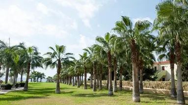 Anmaria Beach