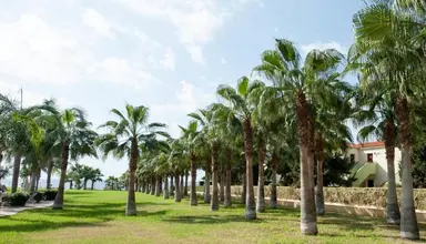 Anmaria Beach
