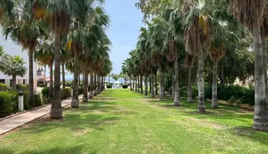 Anmaria Beach