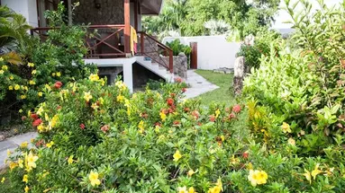 Anse Soleil Beachcomber