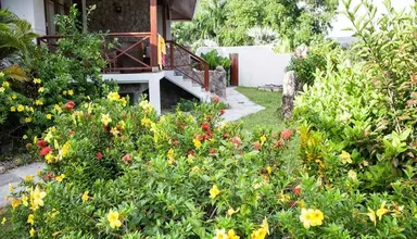 Anse Soleil Beachcomber
