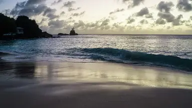 Anse Soleil Beachcomber