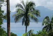 Anse Soleil Beachcomber