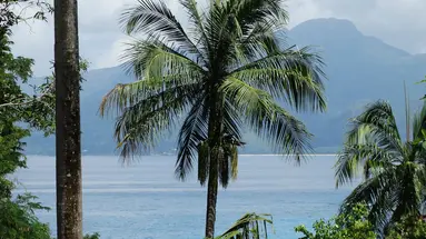 Anse Soleil Beachcomber