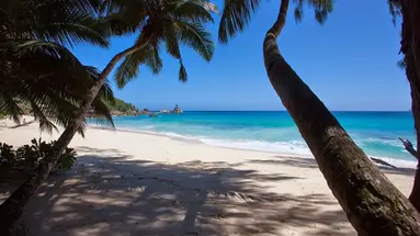 Anse Soleil Beachcomber