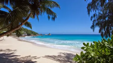 Anse Soleil Beachcomber