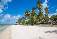 Antonio Beach Tree House Hotel & Spa