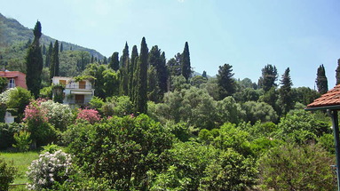 Anya Studios