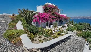 Apanemo
