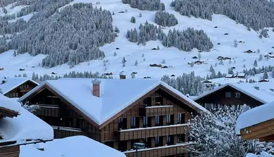 Apart Hotel Adelboden am Dorfplatz