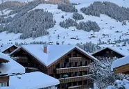 Apart Hotel Adelboden am Dorfplatz