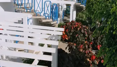 Apartamentos LIVVO Oasis