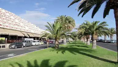 Apartamentos LIVVO Palm Garden
