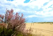 Apartamenty Carina e Silva