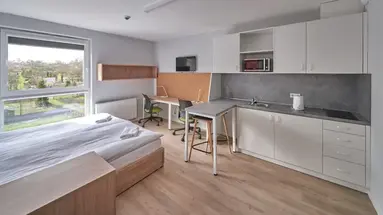 Apartamenty Collegia