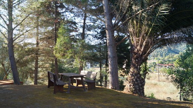 Apartamenty Rigos