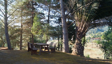 Apartamenty Rigos