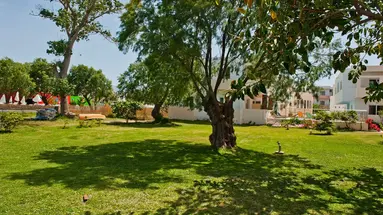 Aparthotel Thodorou
