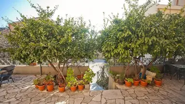 Apartments Andric