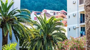 Apartments Lazovic