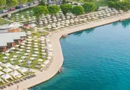 Apollo (Portoroz)