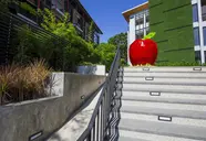 Apple A Day Resort