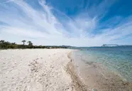 Approdo Verde