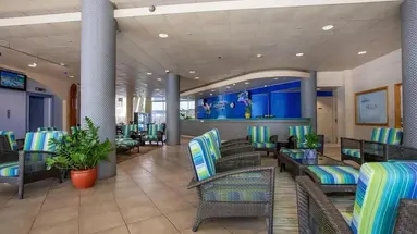 Aqua Aloha Surf