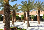 Aqua Mirage Club Marrakech